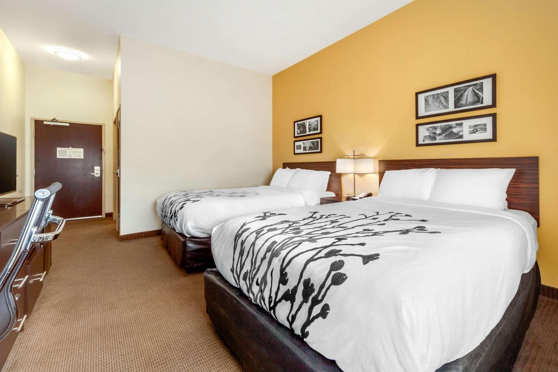 Sleep Inn & Suites Lincoln University Area gallery photo in Lincoln, NE — image 28