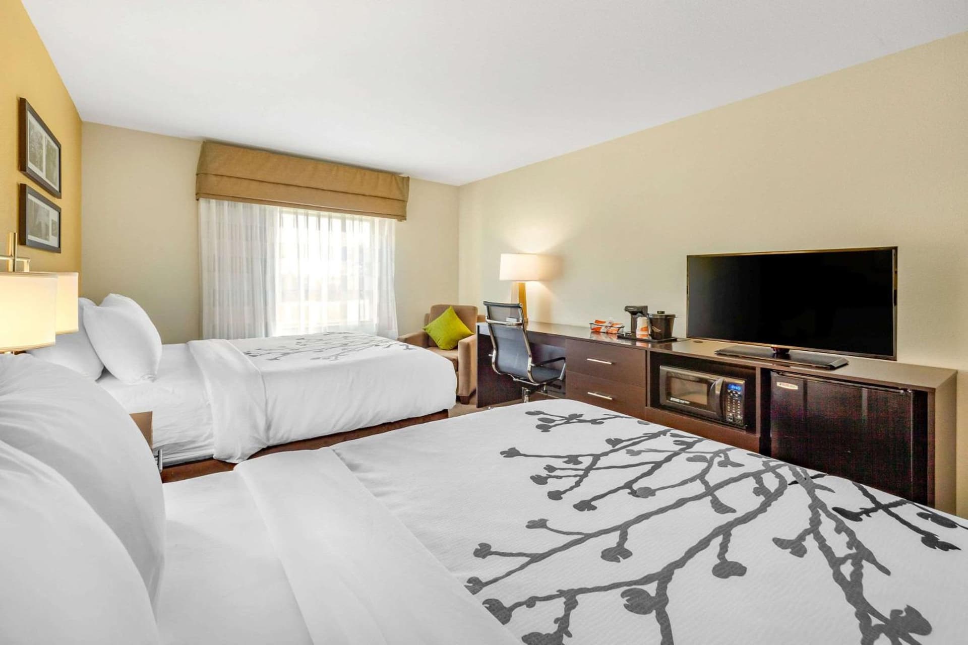 Sleep Inn & Suites Lincoln University Area gallery photo in Lincoln, NE — image 4