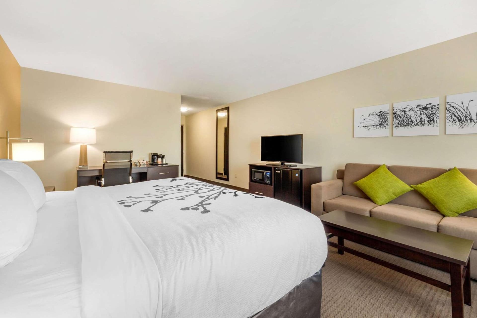 Sleep Inn & Suites Lincoln University Area gallery photo in Lincoln, NE — image 37