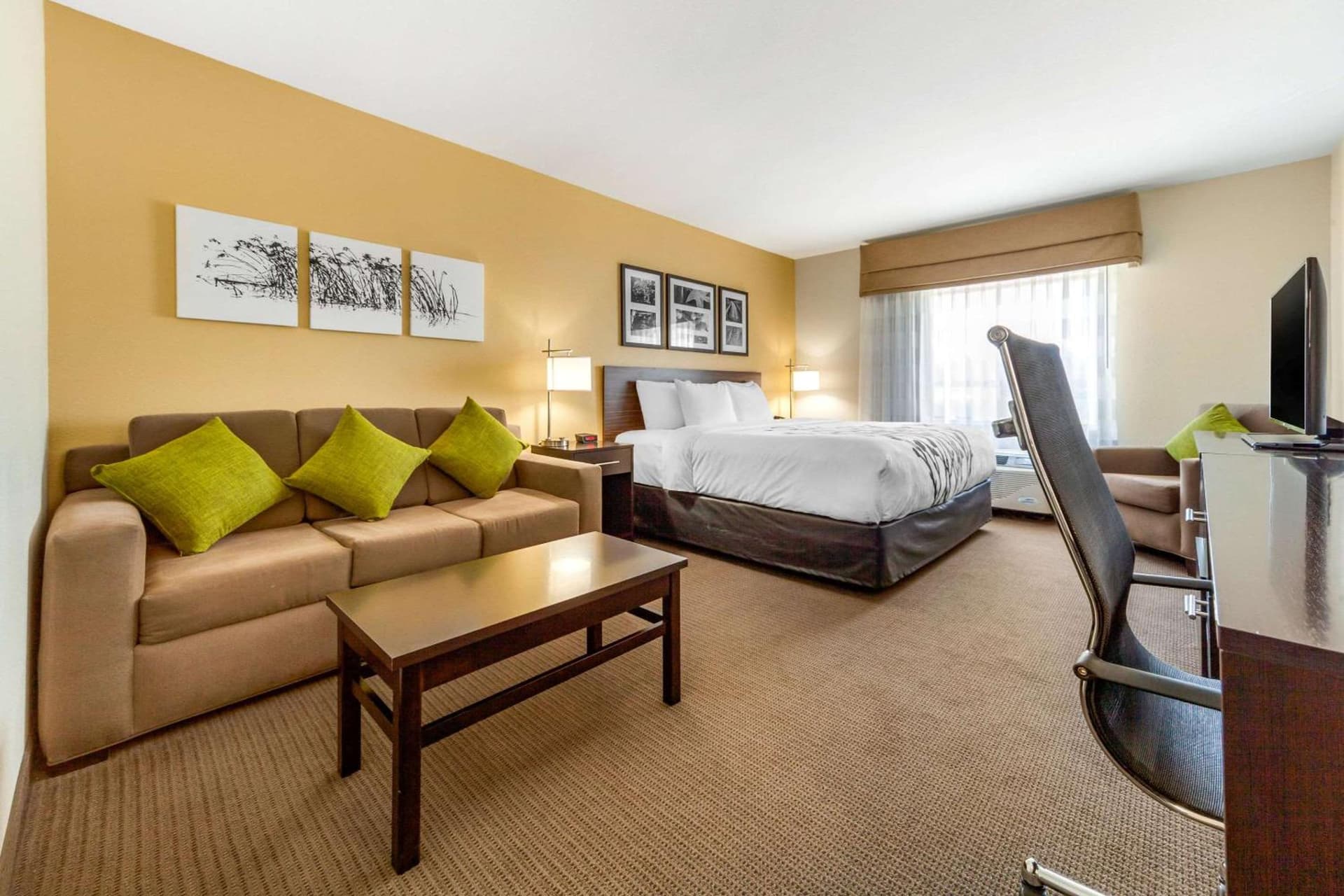 Sleep Inn & Suites Lincoln University Area gallery photo in Lincoln, NE — image 25