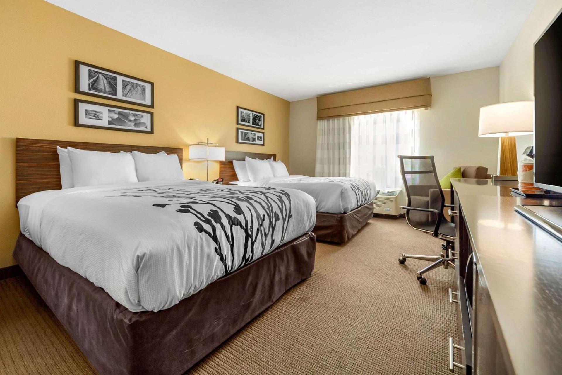 Sleep Inn & Suites Lincoln University Area gallery photo in Lincoln, NE — image 52