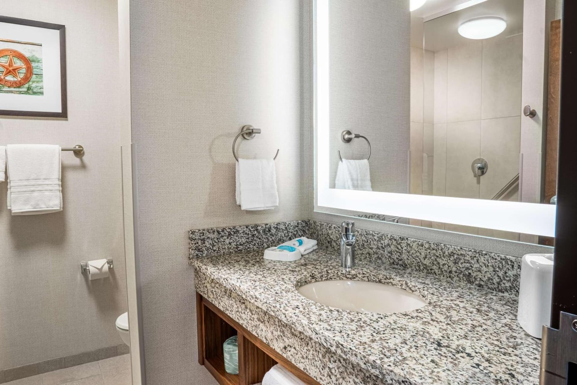 Drury Plaza Hotel Dallas Arlington gallery photo in Arlington, TX — image 34