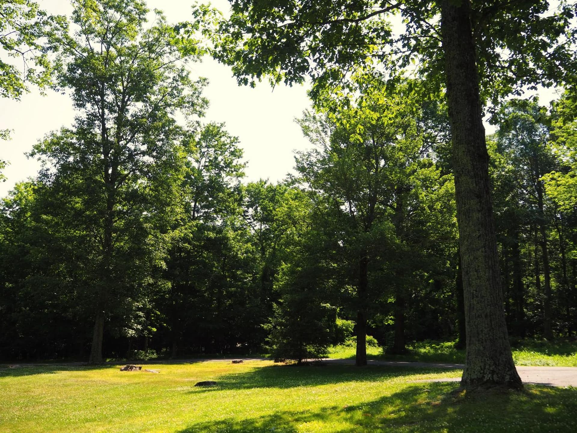 Woodfield Manor - A Sundance Vacations Property gallery photo in Cresco, PA — image 65