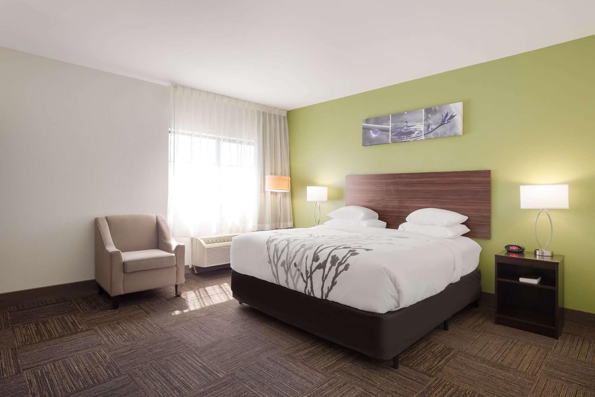 Sleep Inn & Suites North Mobile Saraland gallery photo in Saraland, AL — image 40