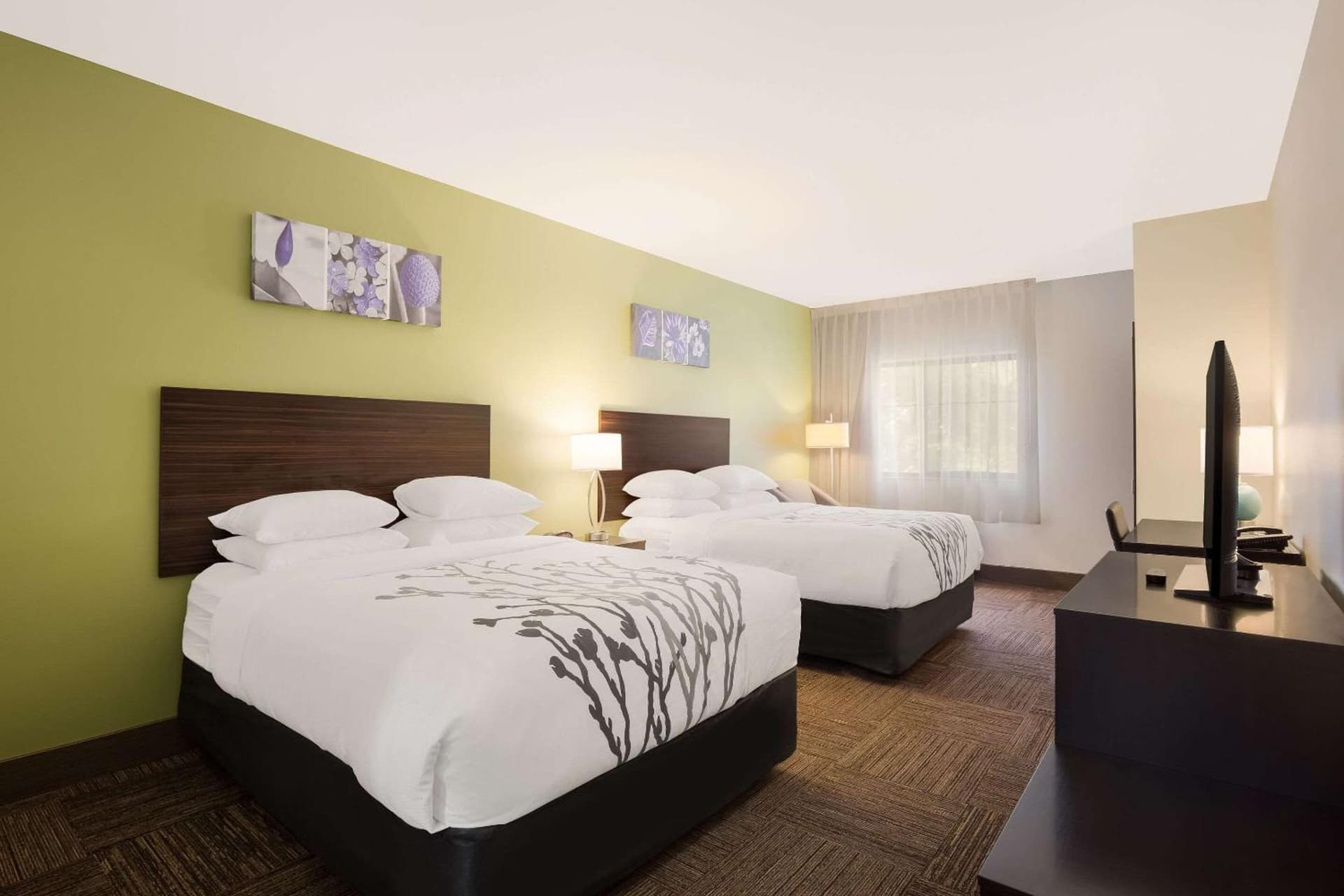 Sleep Inn & Suites North Mobile Saraland gallery photo in Saraland, AL — image 46