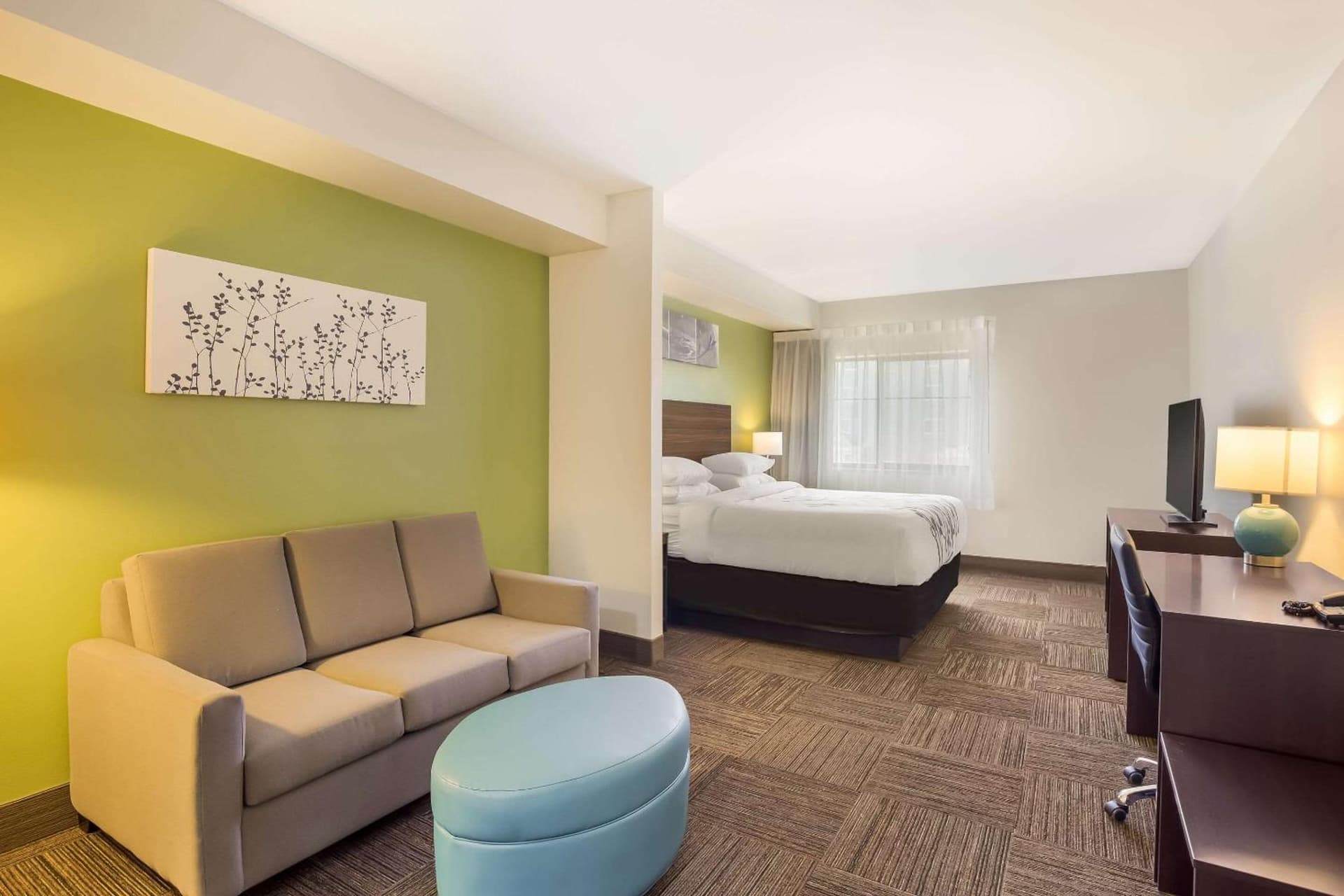 Sleep Inn & Suites North Mobile Saraland gallery photo in Saraland, AL — image 61