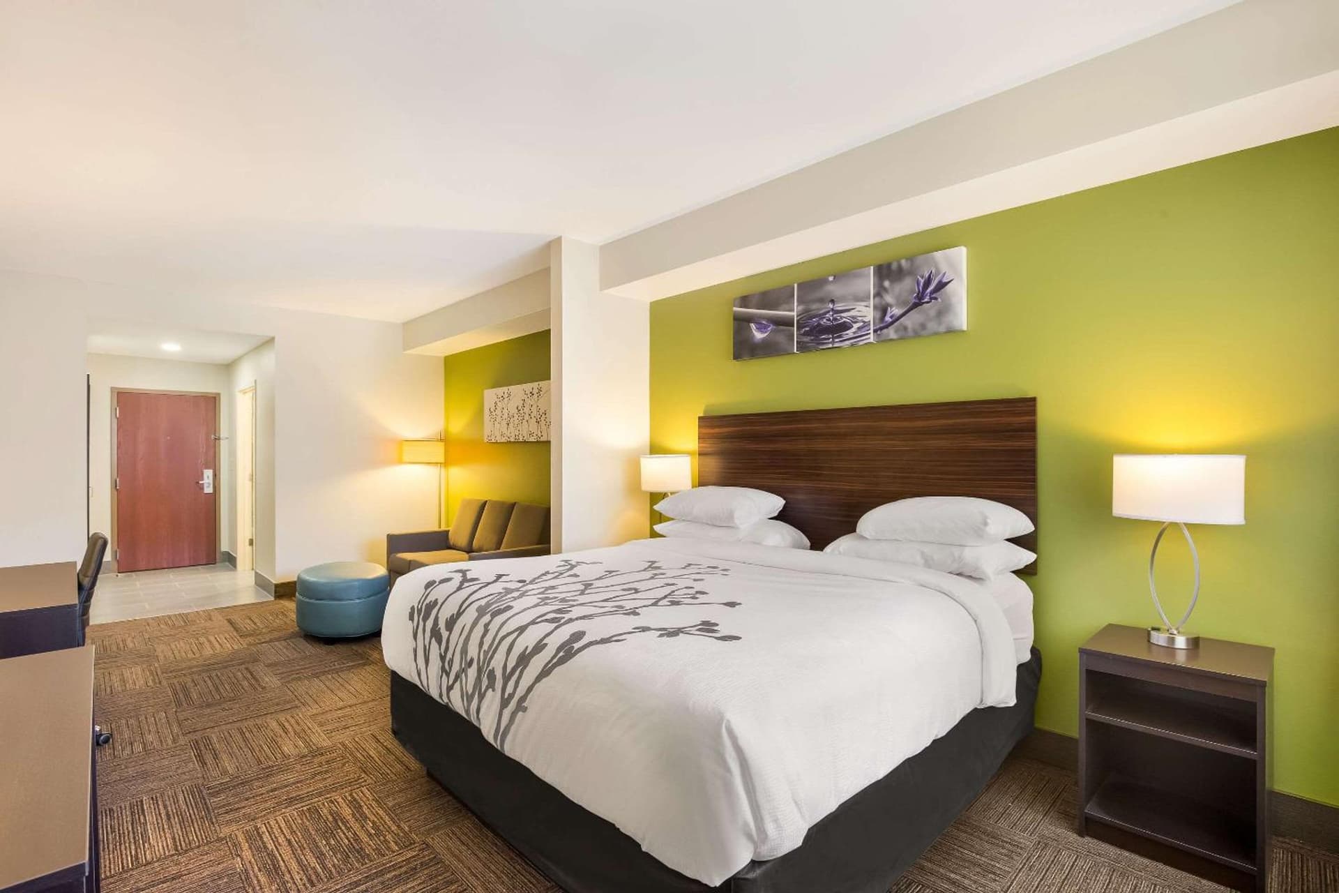 Sleep Inn & Suites North Mobile Saraland gallery photo in Saraland, AL — image 5