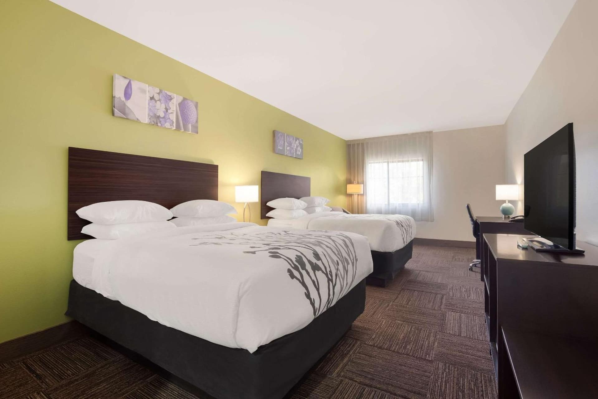 Sleep Inn & Suites North Mobile Saraland gallery photo in Saraland, AL — image 69