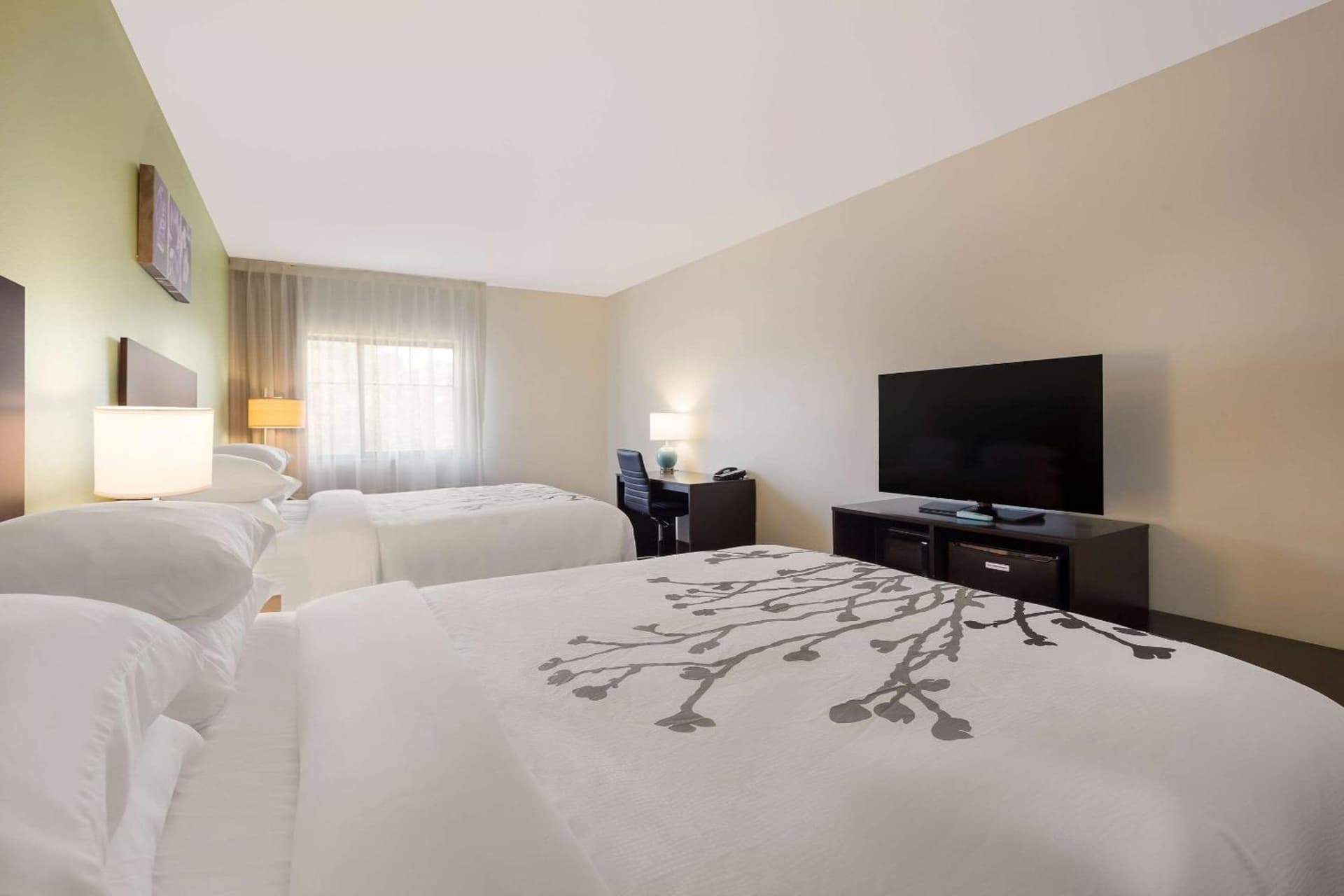 Sleep Inn & Suites North Mobile Saraland gallery photo in Saraland, AL — image 28