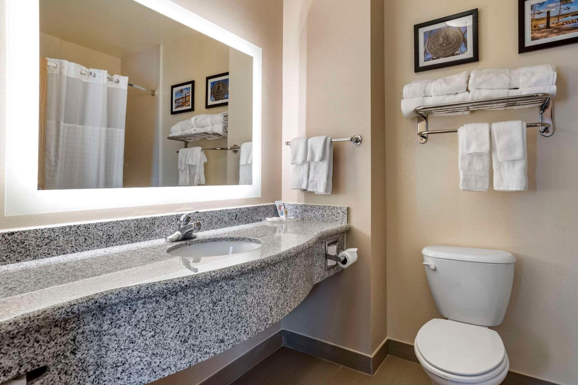 Comfort Suites Flowood - Jackson Airport gallery photo in Luckney, MS — image 35