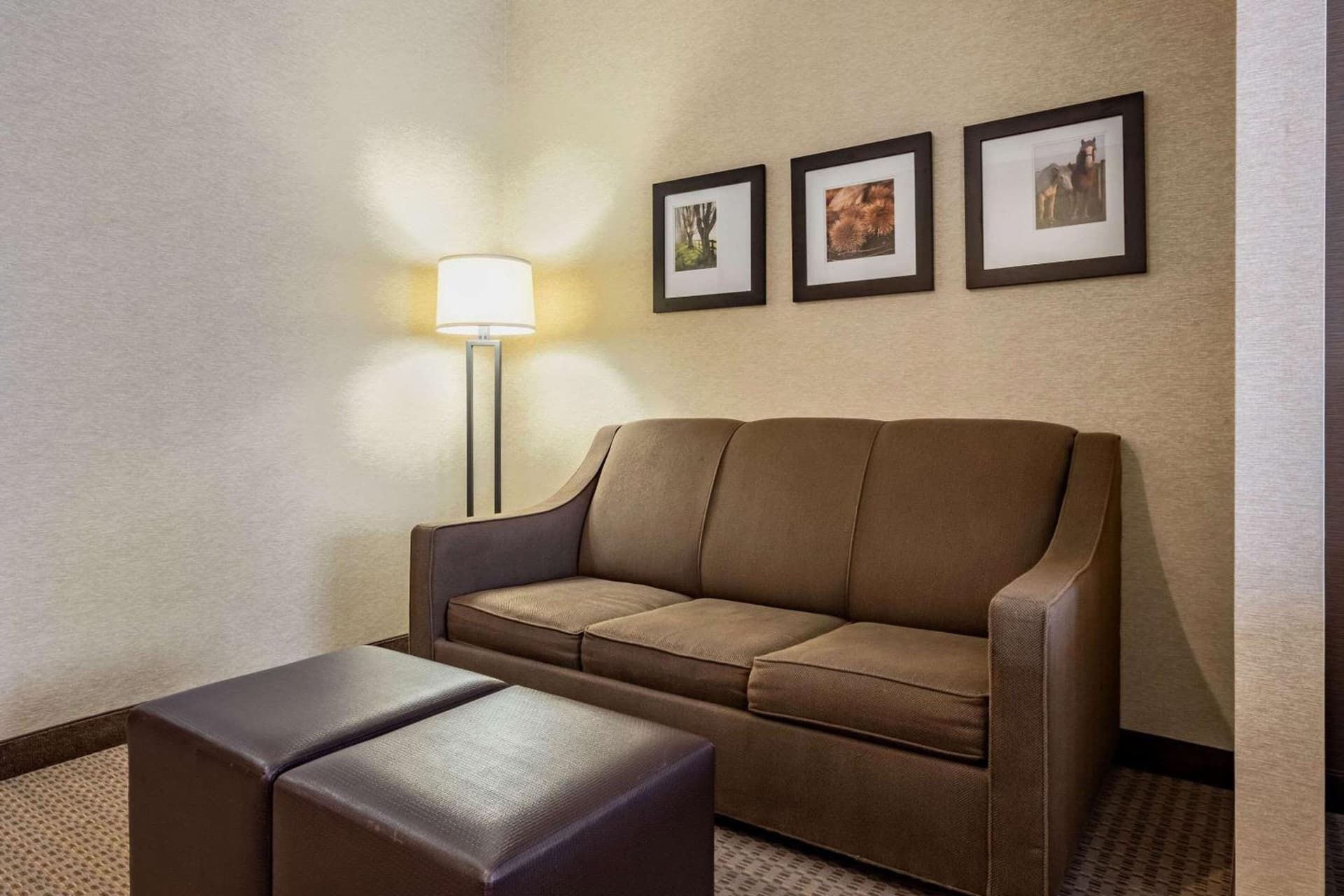 Comfort Suites Hotel and Conference Center gallery photo in Berlin, OH — image 12