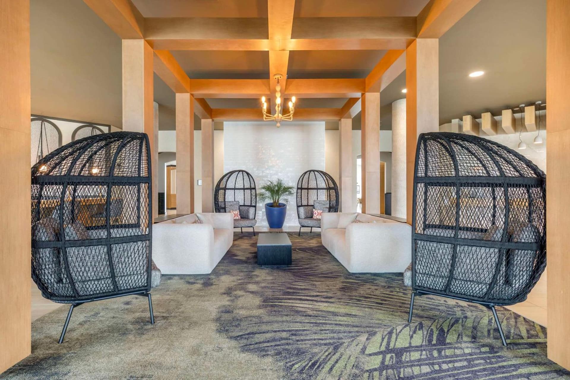 Cambria Hotel Rehoboth Beach gallery photo in Rehoboth Beach, DE — image 106