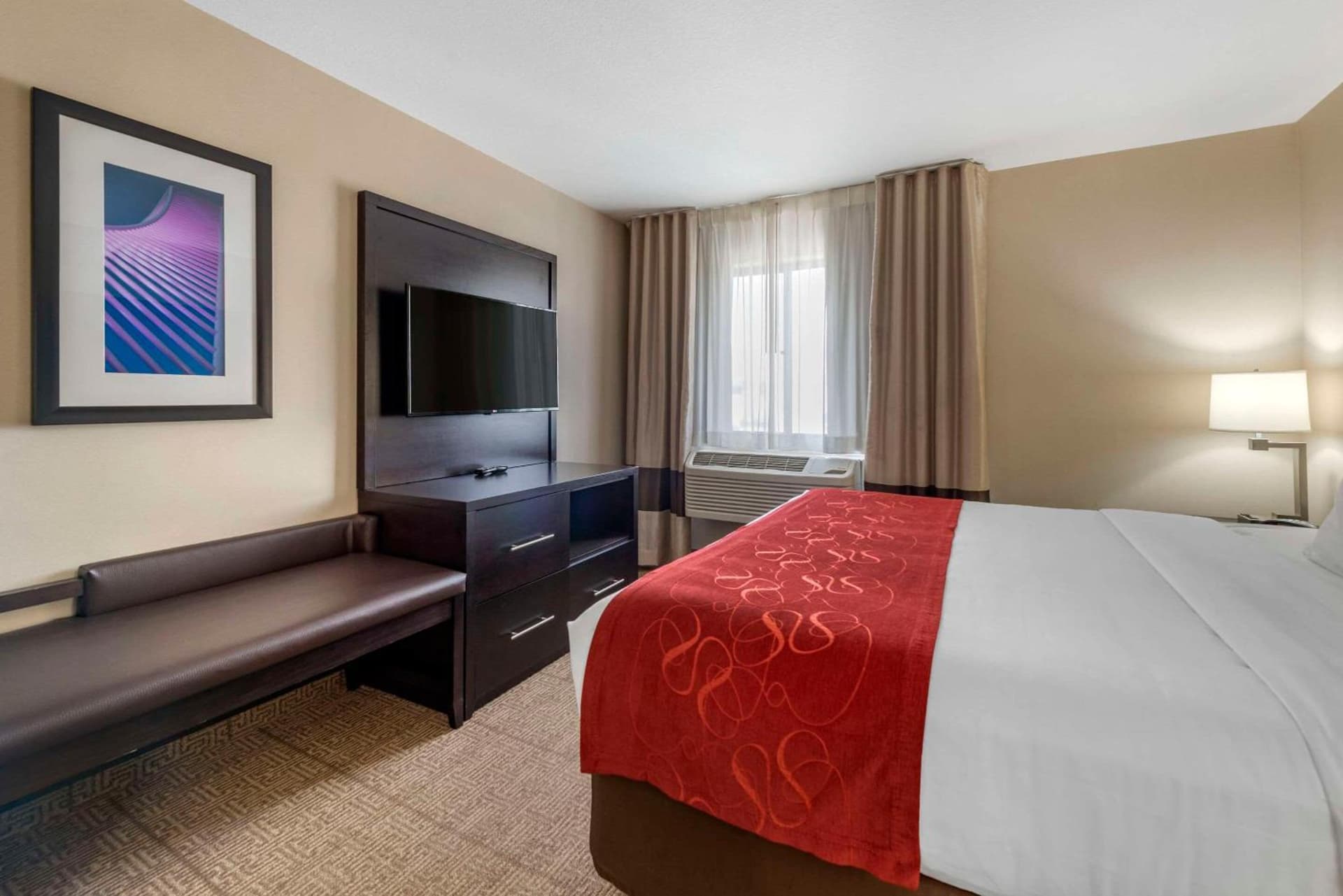 Comfort Suites Highlands Ranch Denver Tech Center Area gallery photo in Highlands Ranch, CO — image 5