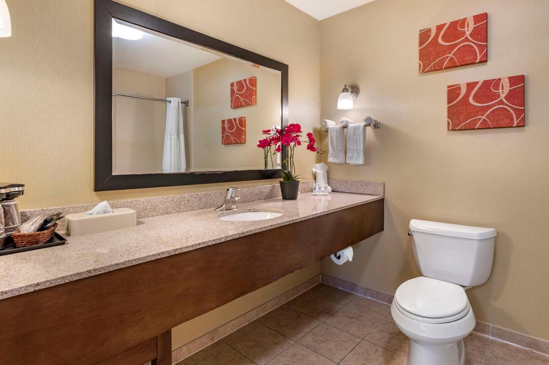 Comfort Suites Urbana Champaign, University Area gallery photo in Champaign, IL — image 30