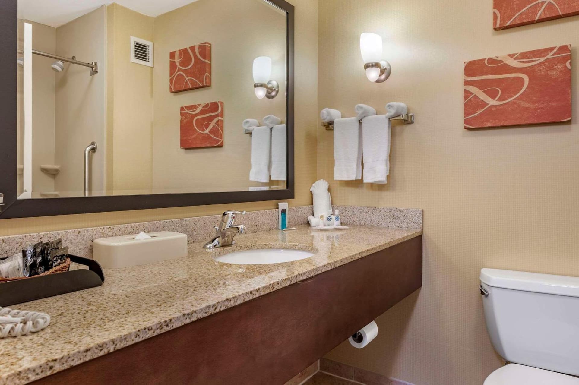 Comfort Suites Urbana Champaign, University Area gallery photo in Champaign, IL — image 29