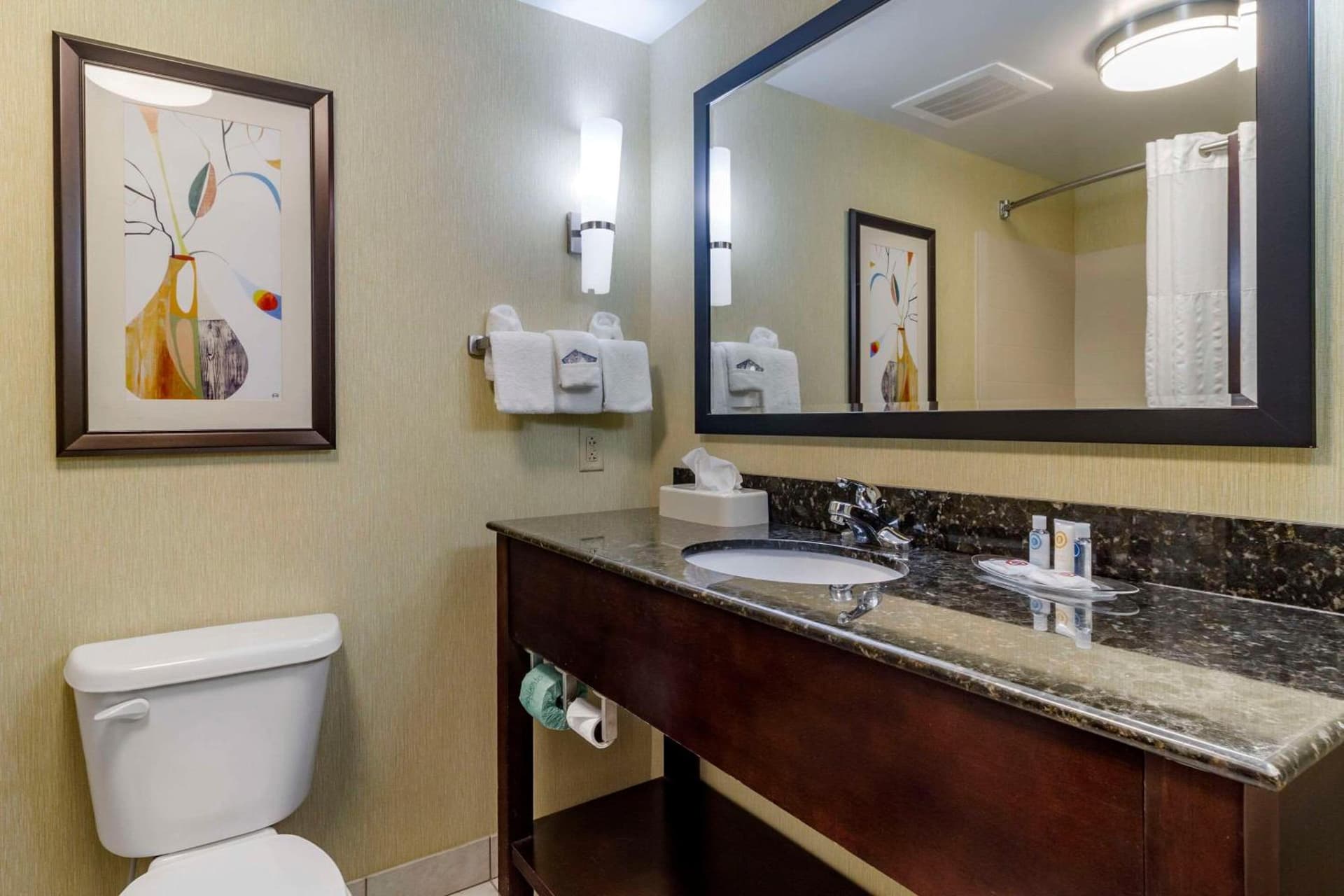 Comfort Suites Knoxville West - Farragut gallery photo in Knoxville, TN — image 17