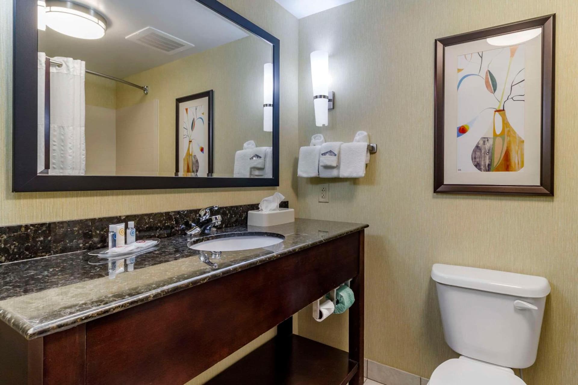 Comfort Suites Knoxville West - Farragut gallery photo in Knoxville, TN — image 11