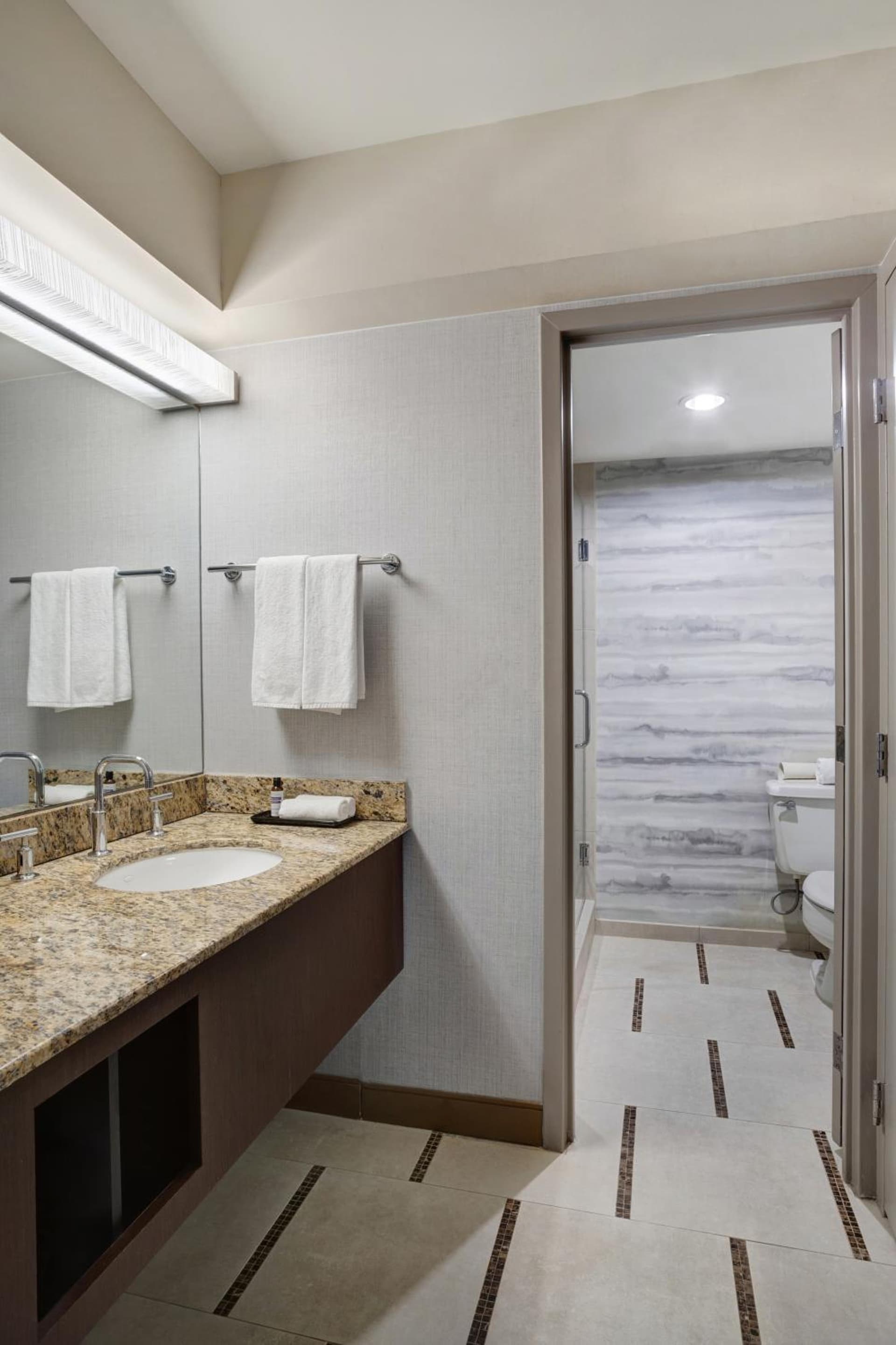 Hyatt Regency DFW International Airport gallery photo in Dallas, TX — image 38