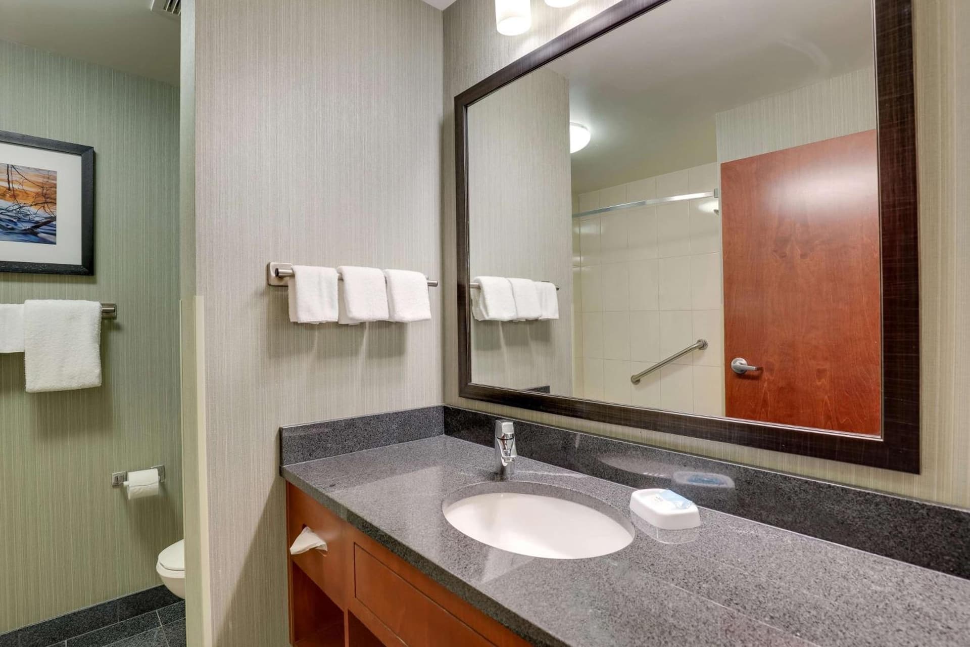 Drury Inn & Suites Grand Rapids gallery photo in Cascade, MI — image 66