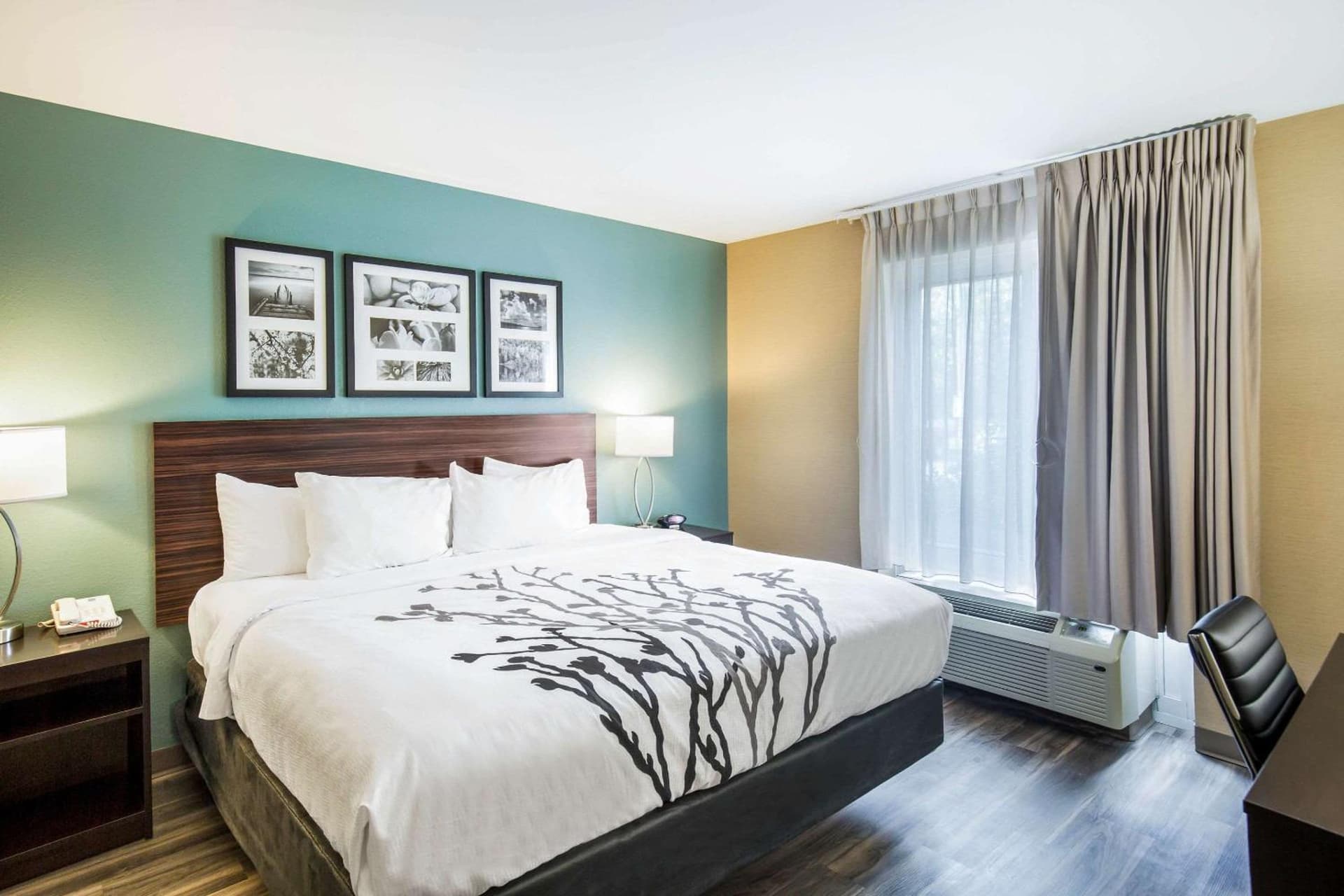 Sleep Inn & Suites Dunmore gallery photo in Dunmore, PA — image 13