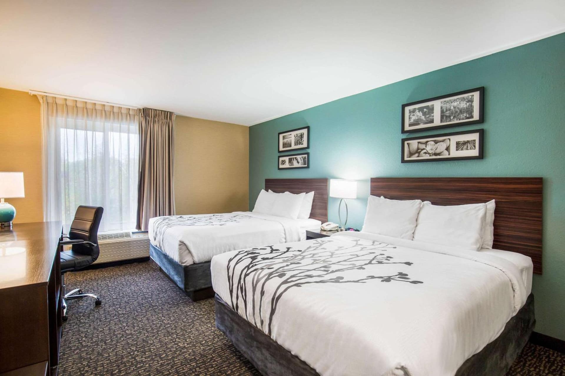 Sleep Inn & Suites Dunmore gallery photo in Dunmore, PA — image 18