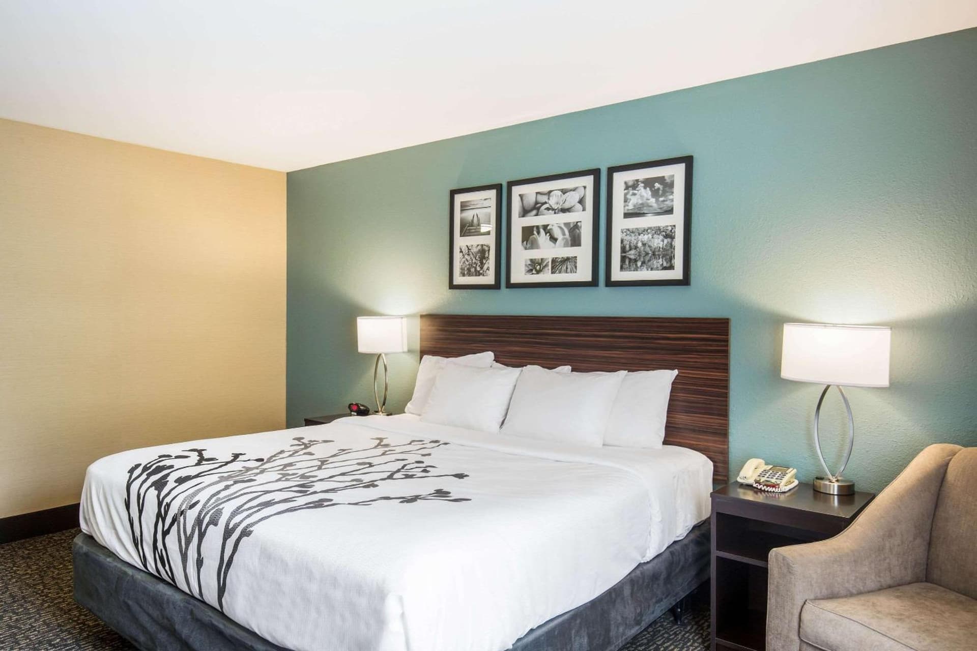 Sleep Inn & Suites Dunmore gallery photo in Dunmore, PA — image 5
