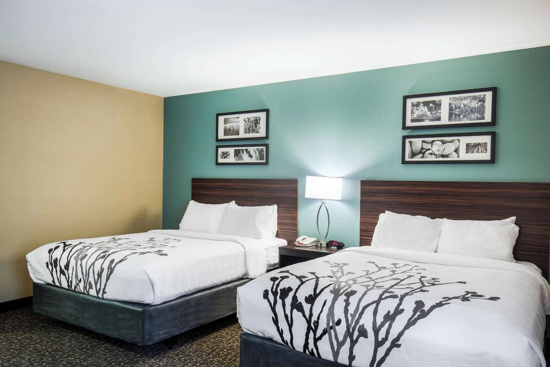 Sleep Inn & Suites Dunmore gallery photo in Dunmore, PA — image 24