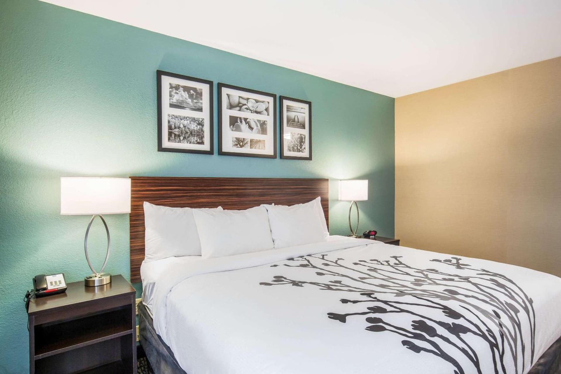 Sleep Inn & Suites Dunmore gallery photo in Dunmore, PA — image 16