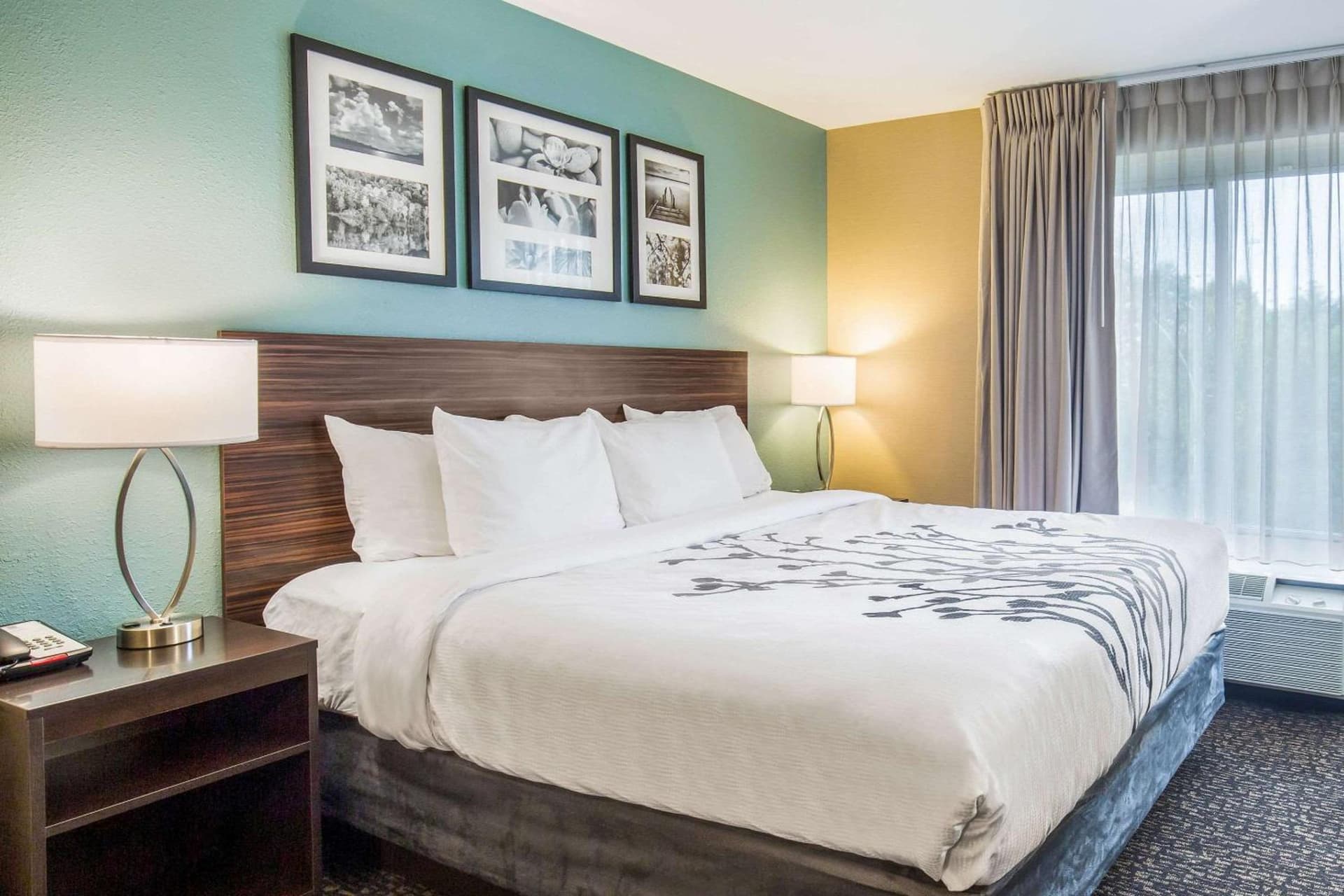Sleep Inn & Suites Dunmore gallery photo in Dunmore, PA — image 15
