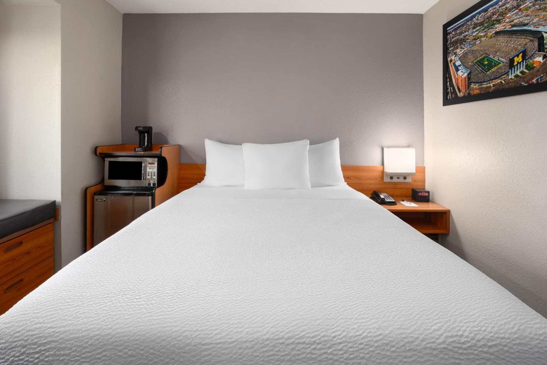 Microtel Inn & Suites by Wyndham Ann Arbor gallery photo in Ann Arbor, MI — image 41