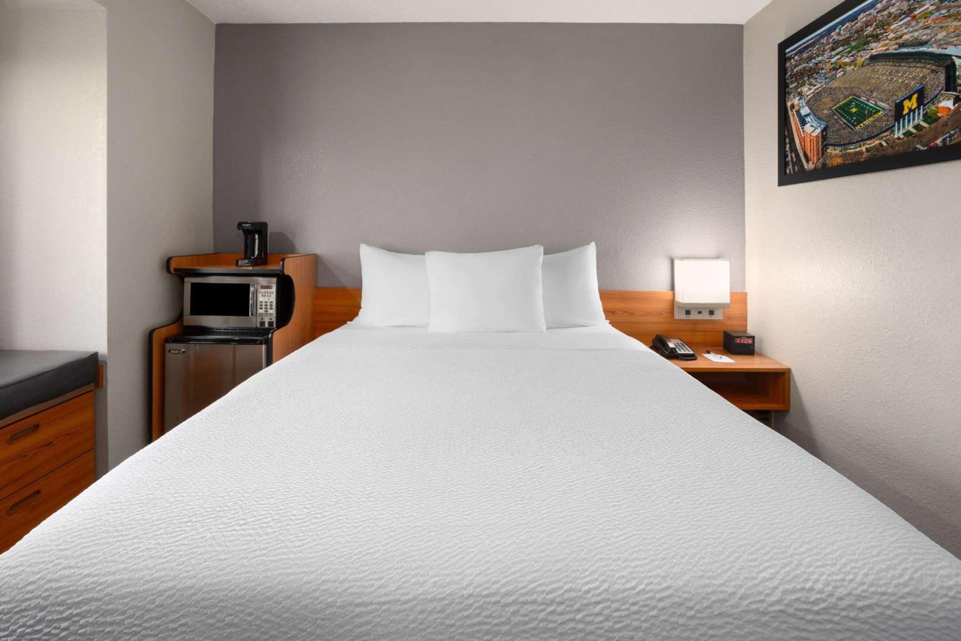 Microtel Inn & Suites by Wyndham Ann Arbor gallery photo in Ann Arbor, MI — image 35
