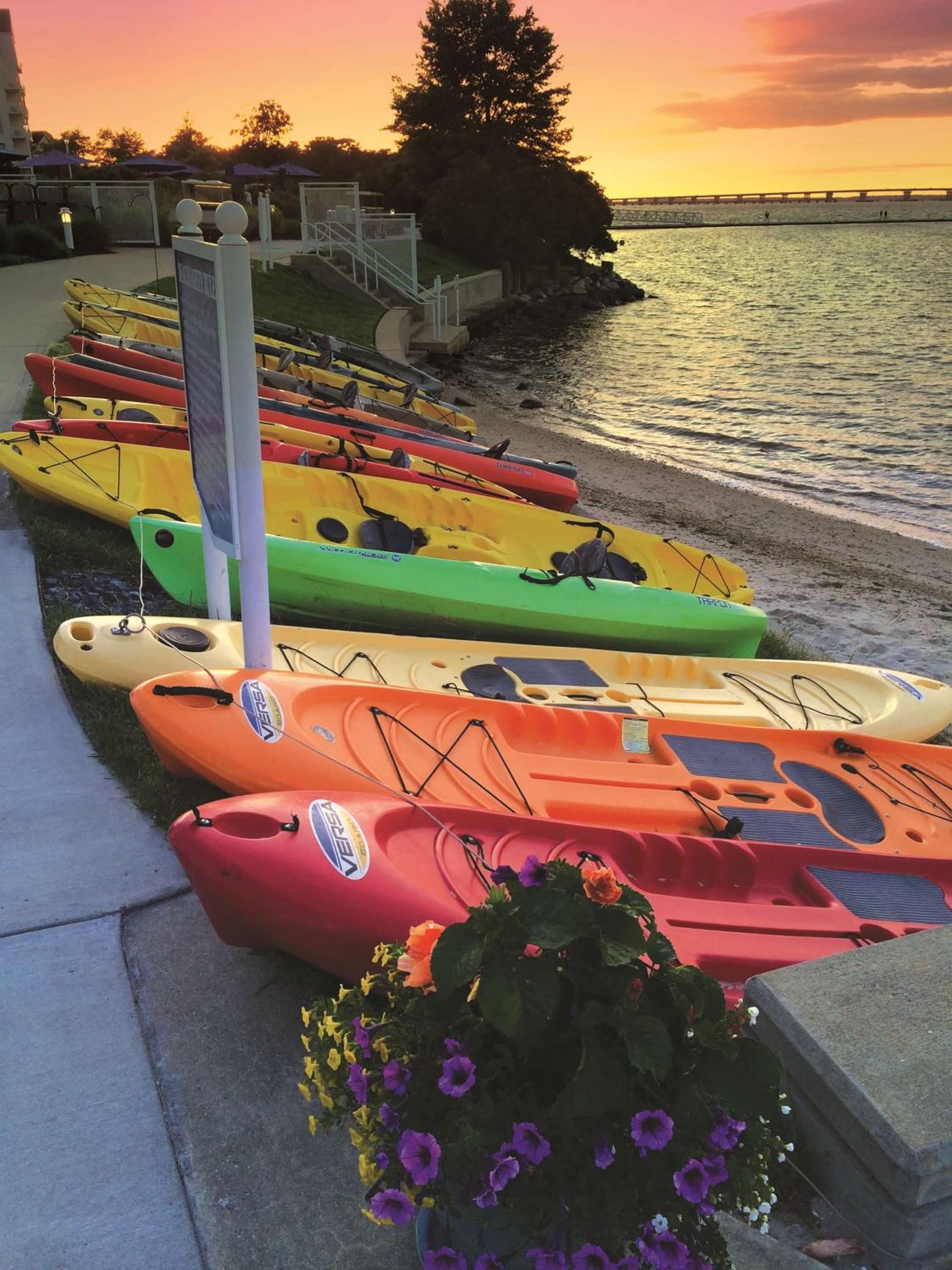 Hyatt Regency Chesapeake Bay Golf Resort, Spa & Marina gallery photo in Cambridge, MD — image 50