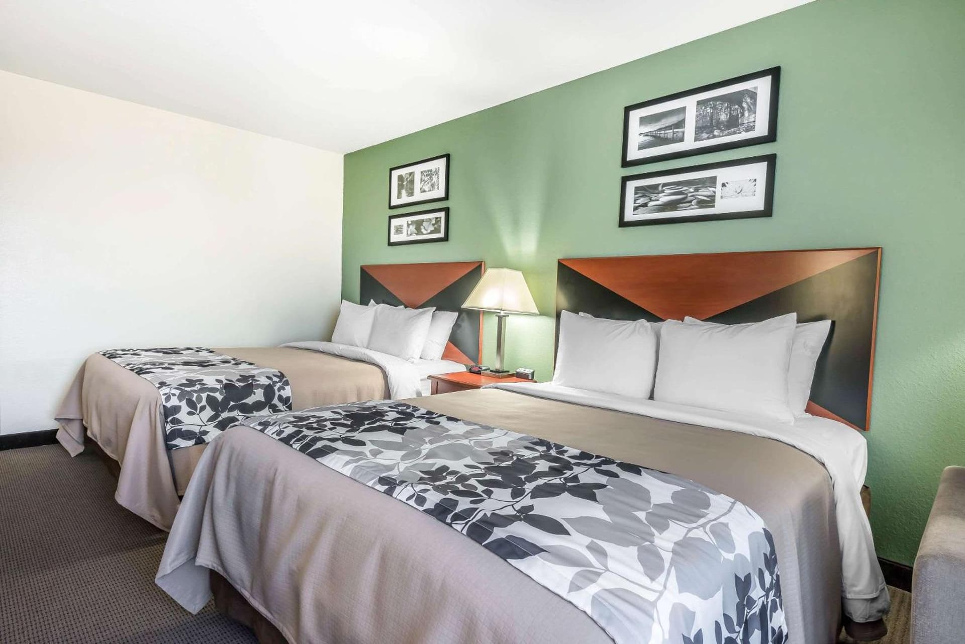 Sleep Inn & Suites University-Shands gallery photo in Gainesville, FL — image 34