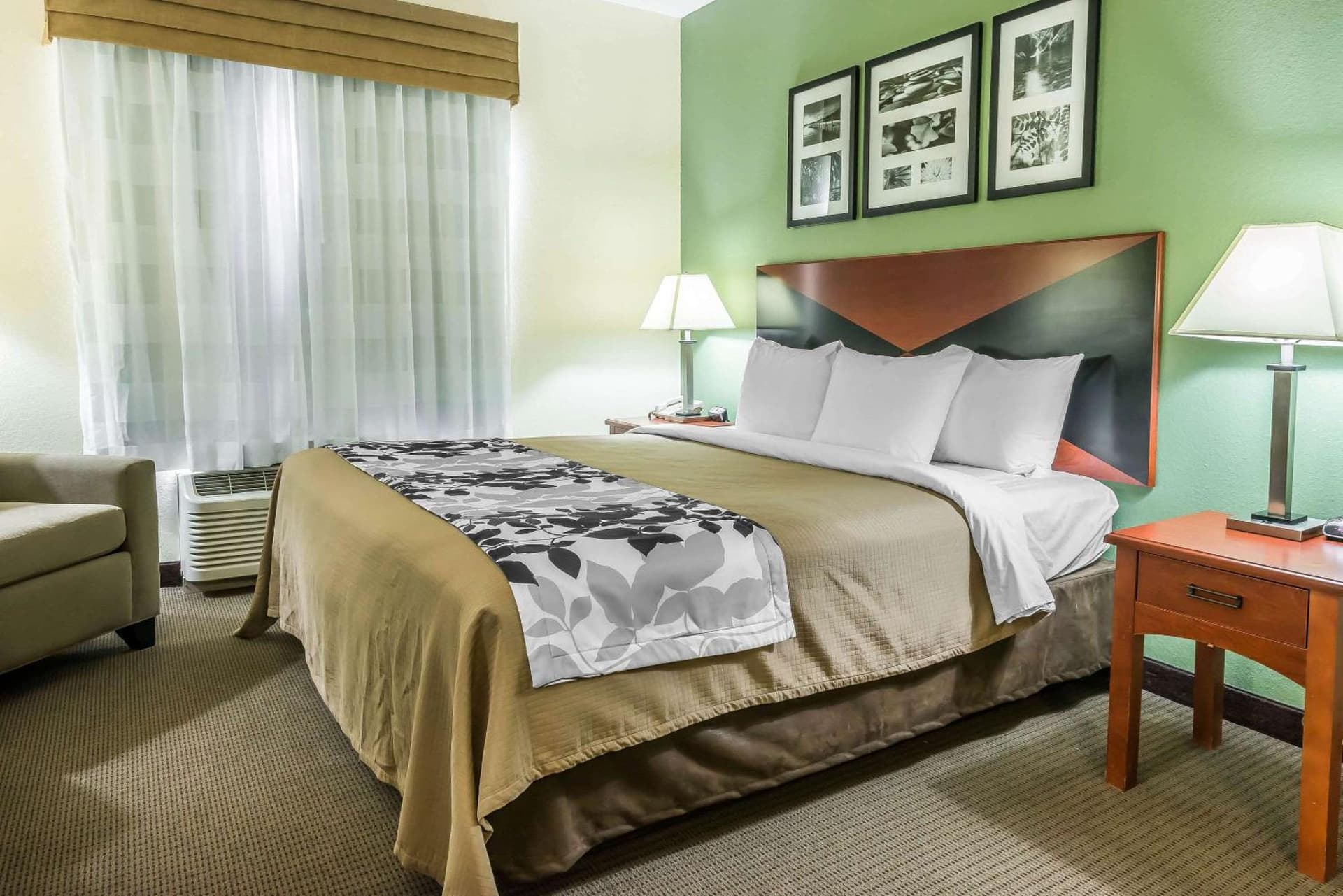 Sleep Inn & Suites University-Shands gallery photo in Gainesville, FL — image 36