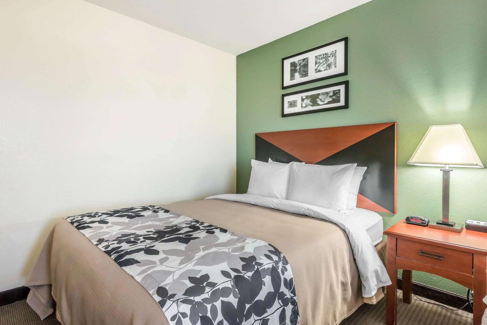 Sleep Inn & Suites University-Shands gallery photo in Gainesville, FL — image 32