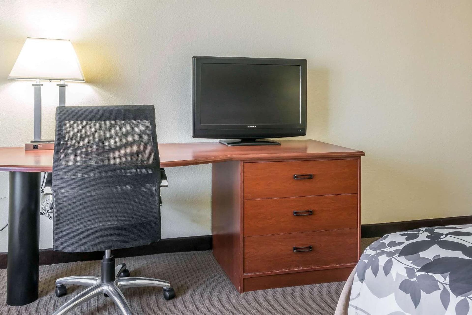 Sleep Inn & Suites University-Shands gallery photo in Gainesville, FL — image 23