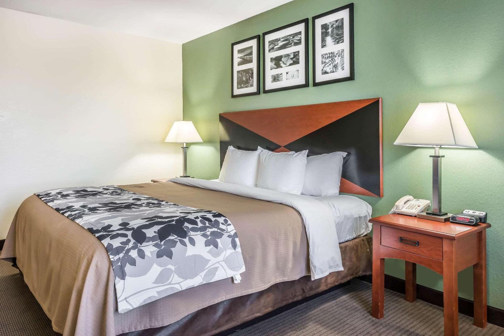 Sleep Inn & Suites University-Shands gallery photo in Gainesville, FL — image 13