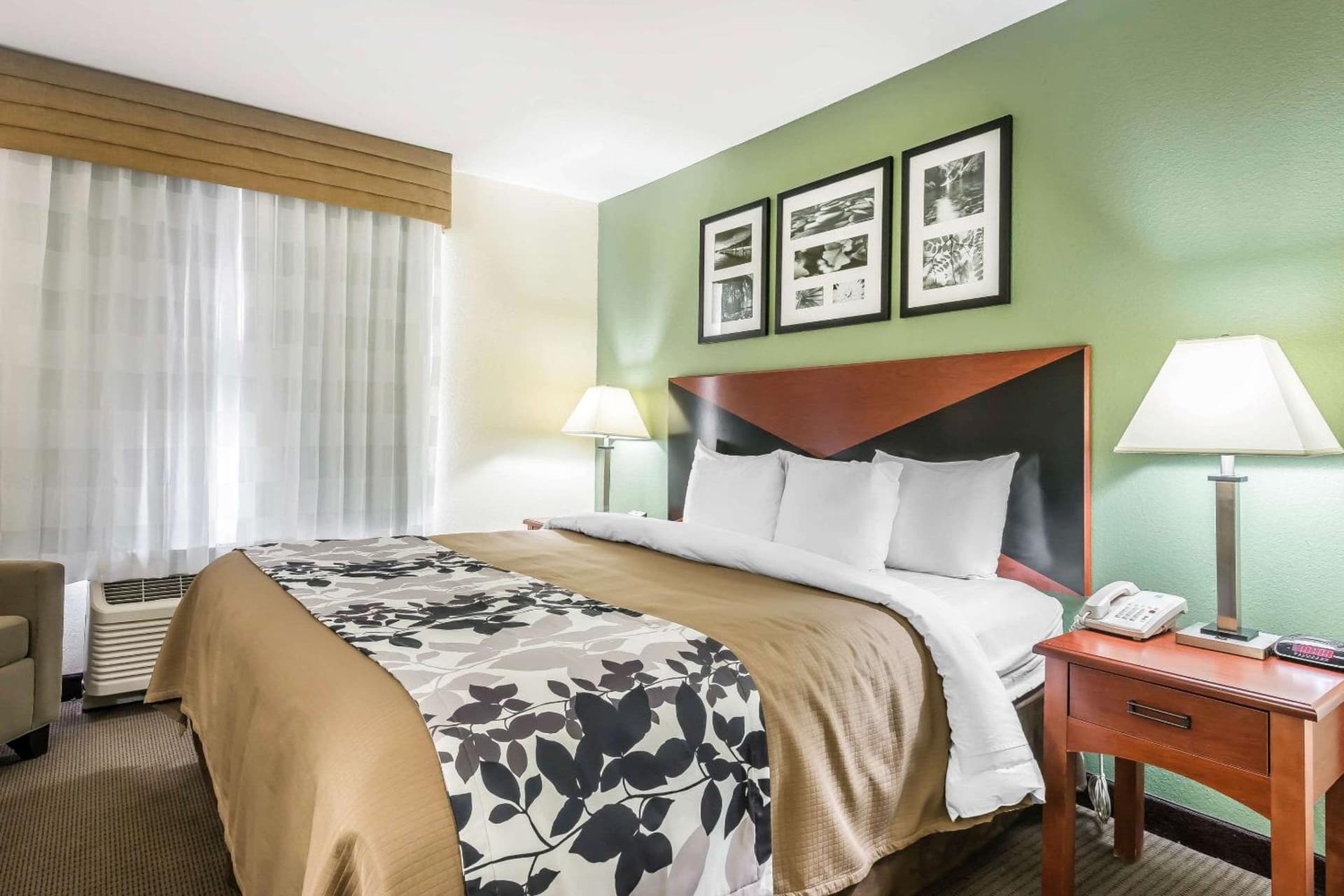 Sleep Inn & Suites University-Shands gallery photo in Gainesville, FL — image 35