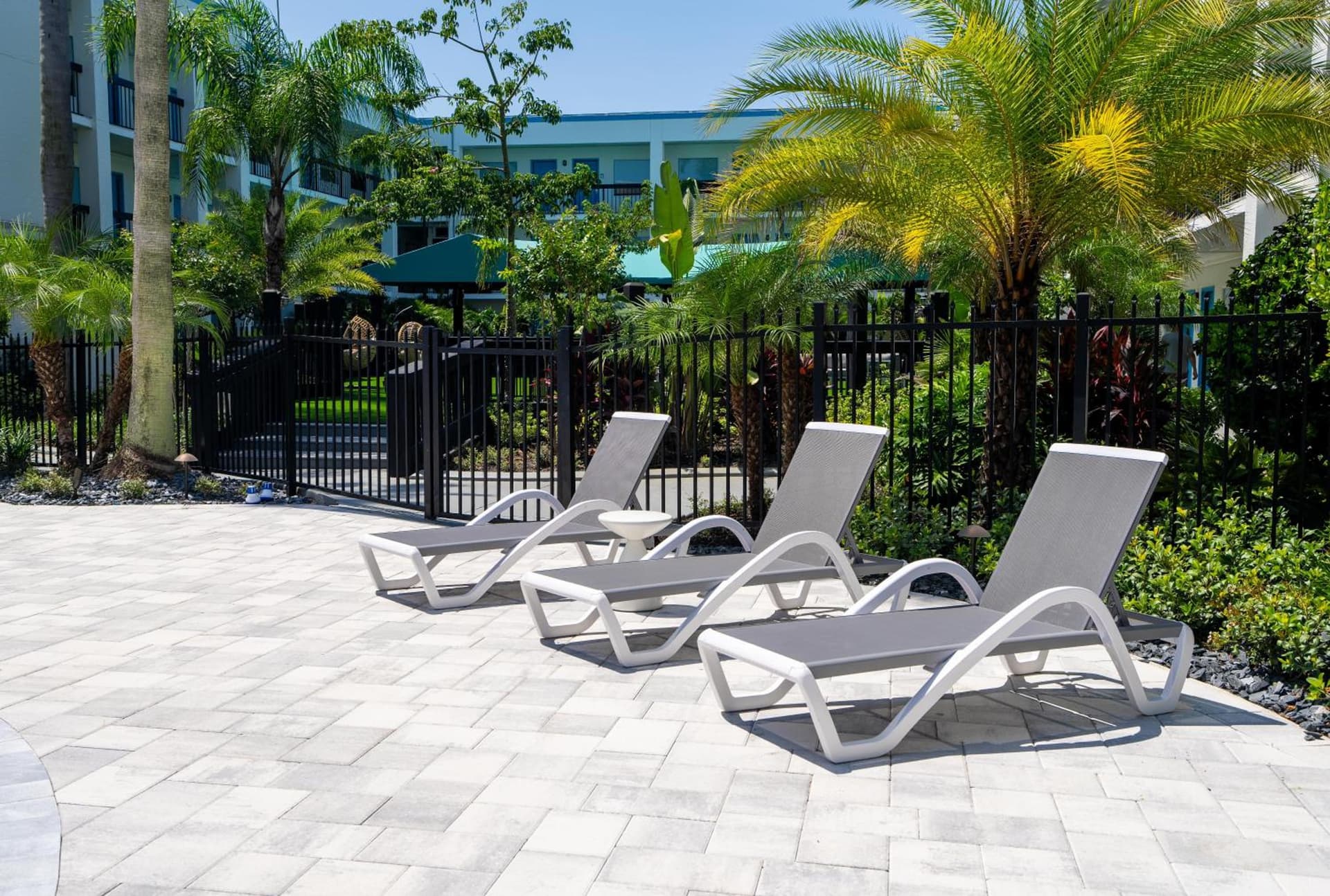 OASIS BAY SUITES, Tampa, Busch Gardens, USF gallery photo in Tampa, FL — image 27