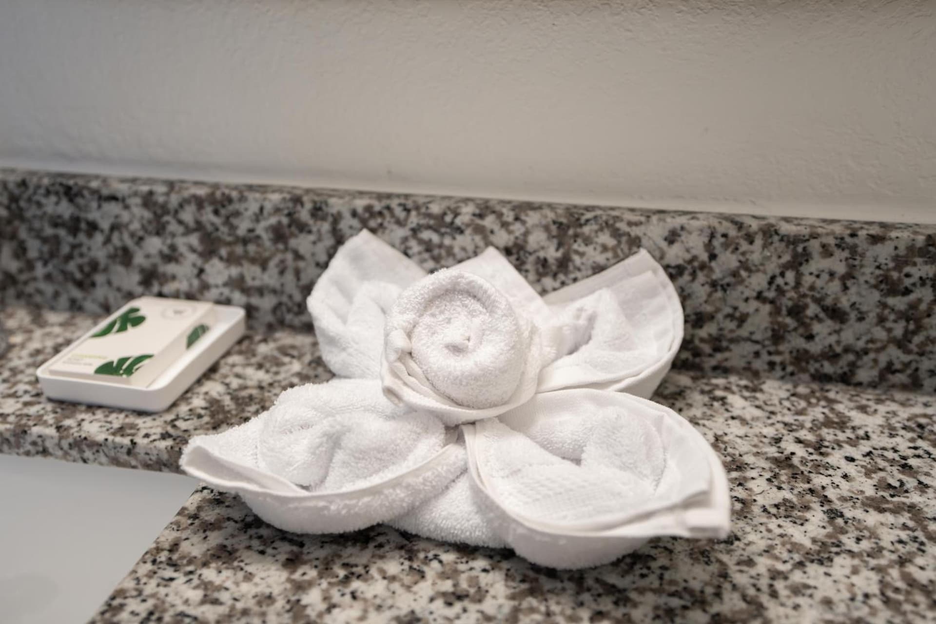 OASIS BAY SUITES, Tampa, Busch Gardens, USF gallery photo in Tampa, FL — image 34