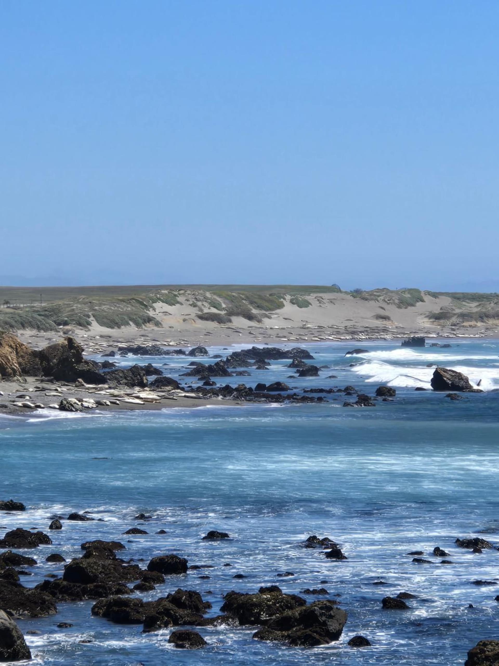 Coast Riders Inn gallery photo in San Simeon, CA — image 49