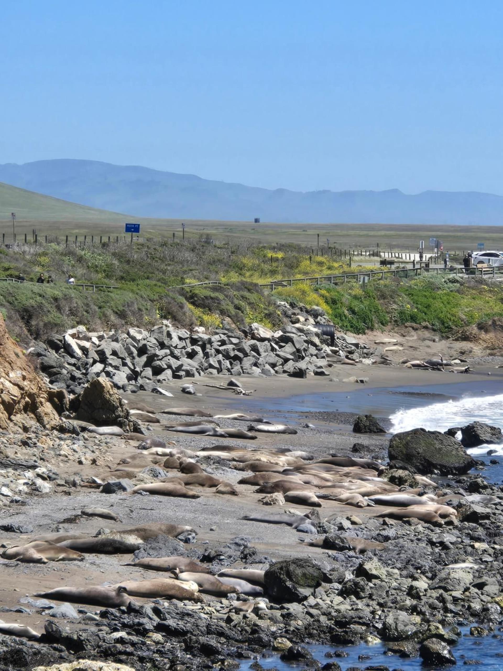 Coast Riders Inn gallery photo in San Simeon, CA — image 35