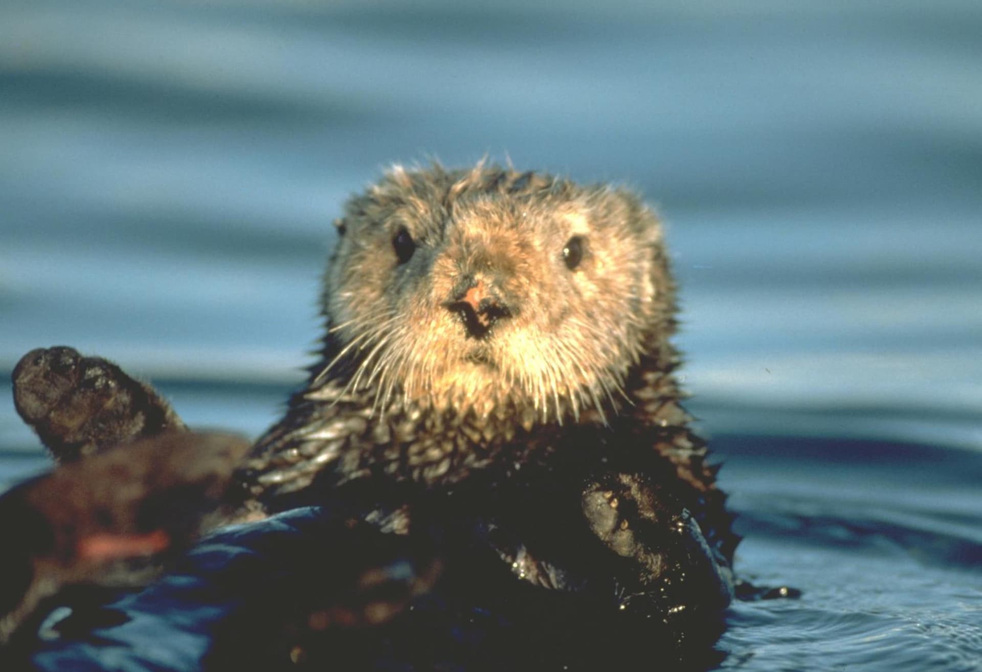 Spindrift Inn gallery photo in Monterey, CA — image 49