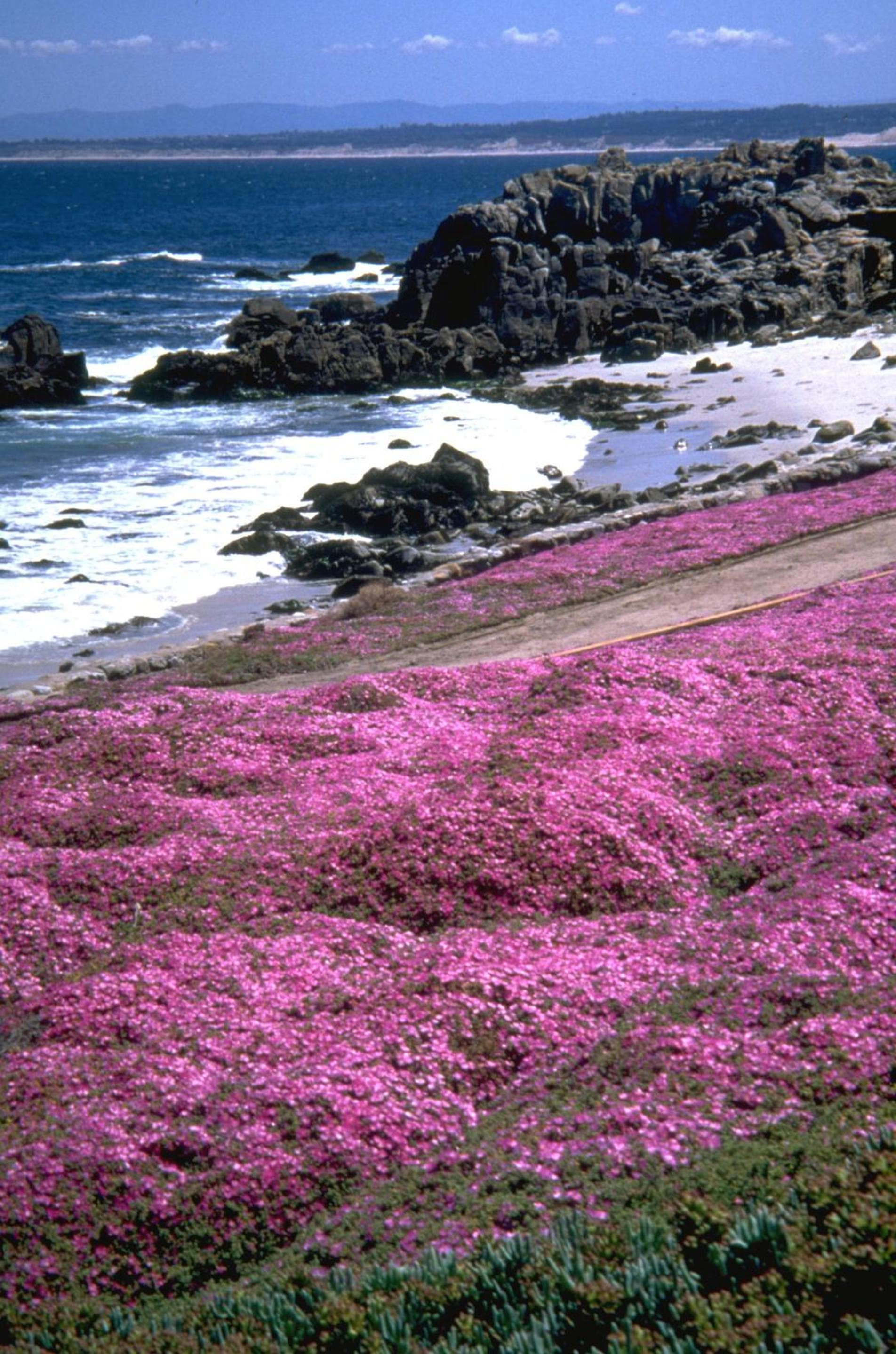 Spindrift Inn gallery photo in Monterey, CA — image 38
