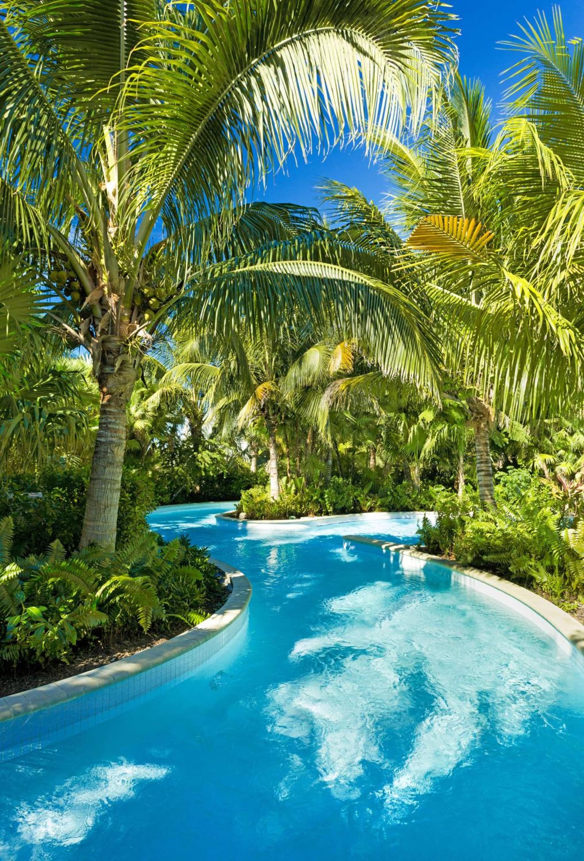 Hyatt Regency Coconut Point Resort & Spa Near Naples gallery photo in Bonita Springs, FL — image 89