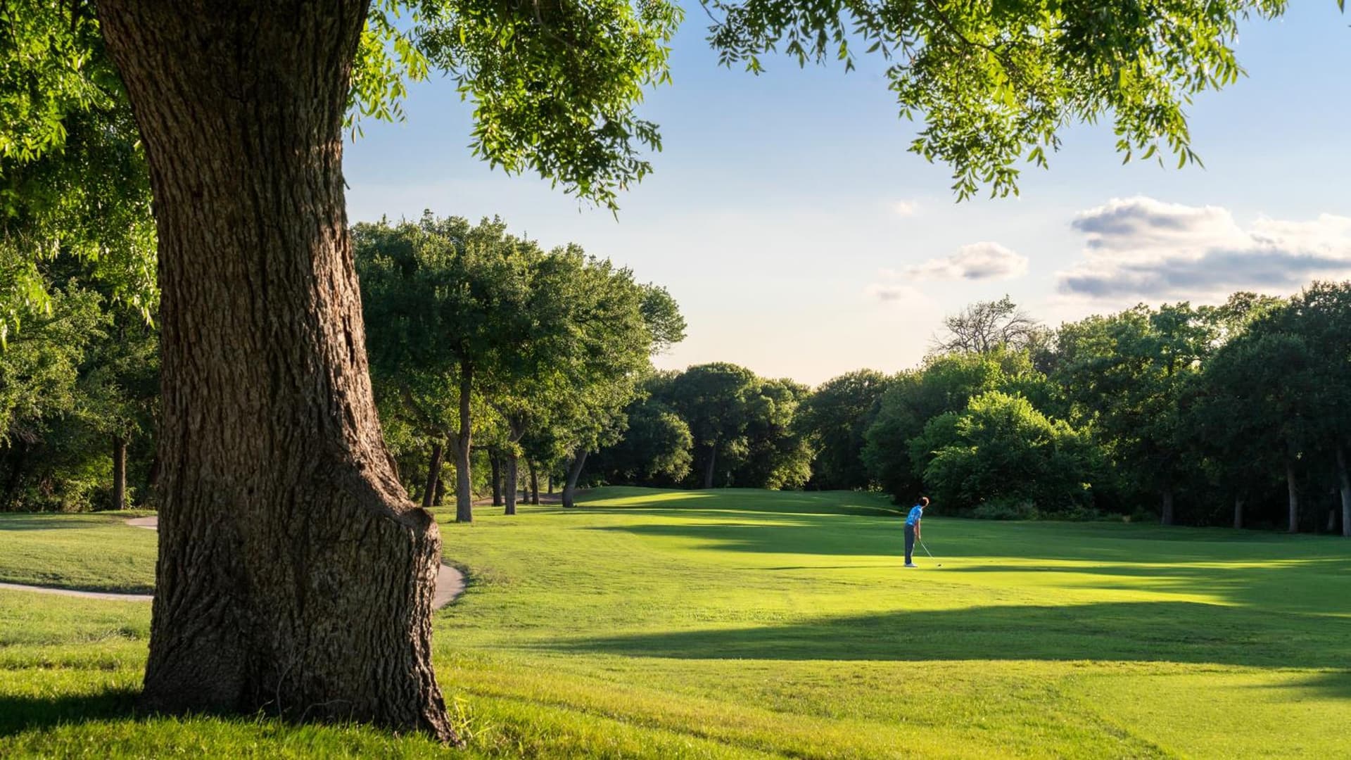 Dallas/Fort Worth Marriott Hotel & Golf Club at Champions Circle gallery photo in Roanoke, TX — image 74