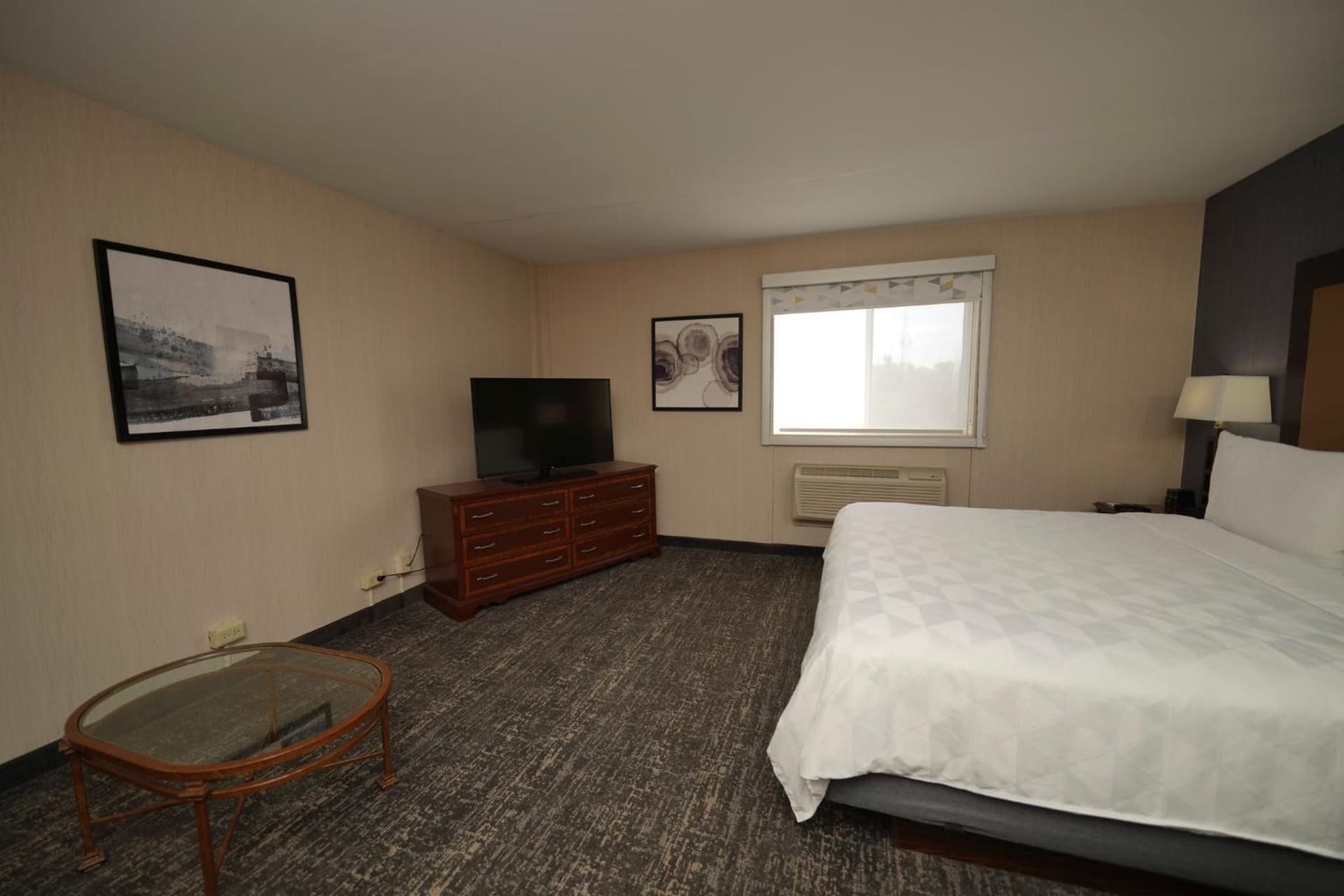 Holiday Inn & Suites Chicago-Carol Stream Wheaton by IHG gallery photo in Carol Stream, IL — image 12