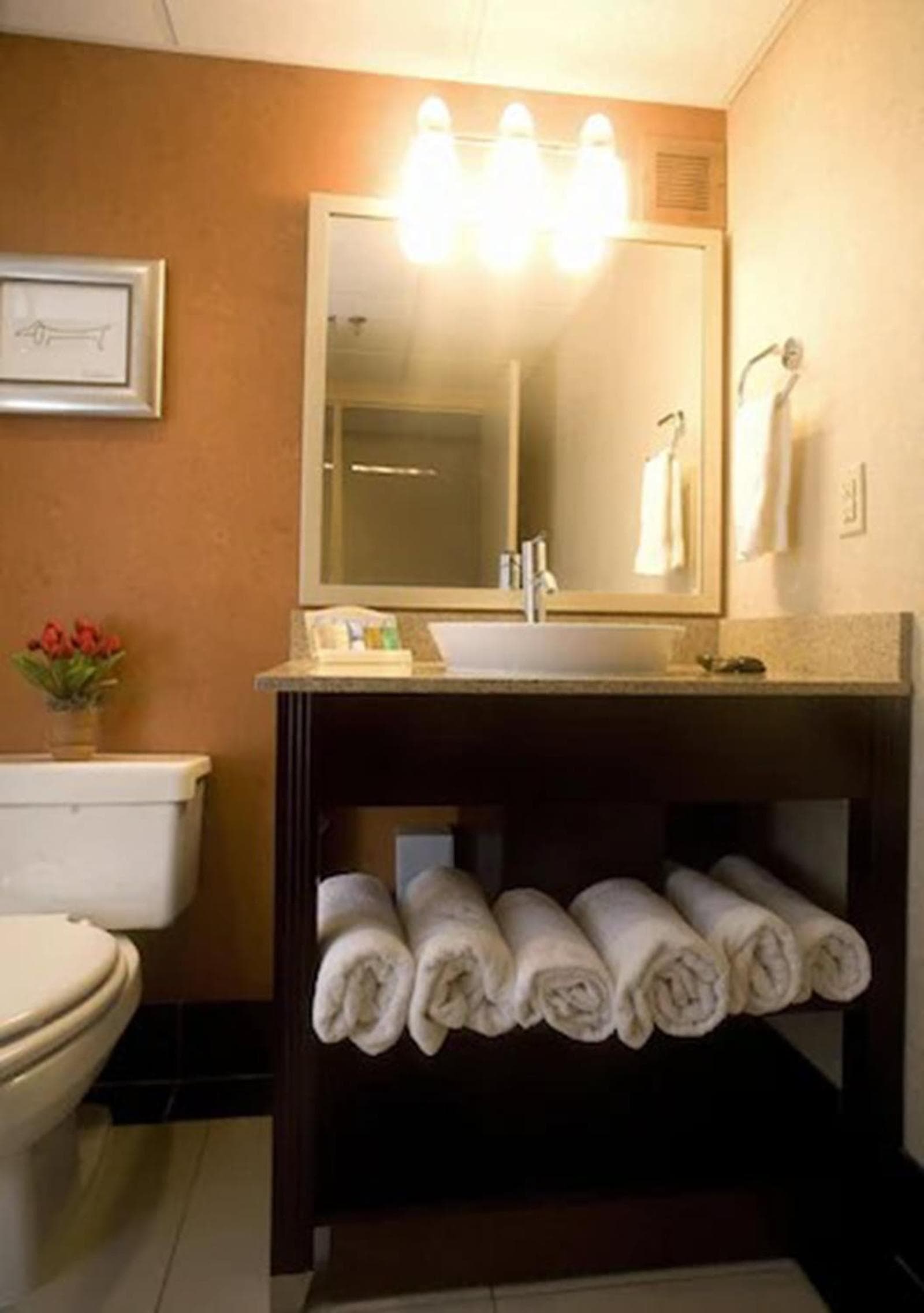 DoubleTree by Hilton Springfield gallery photo in Springfield, MO — image 9