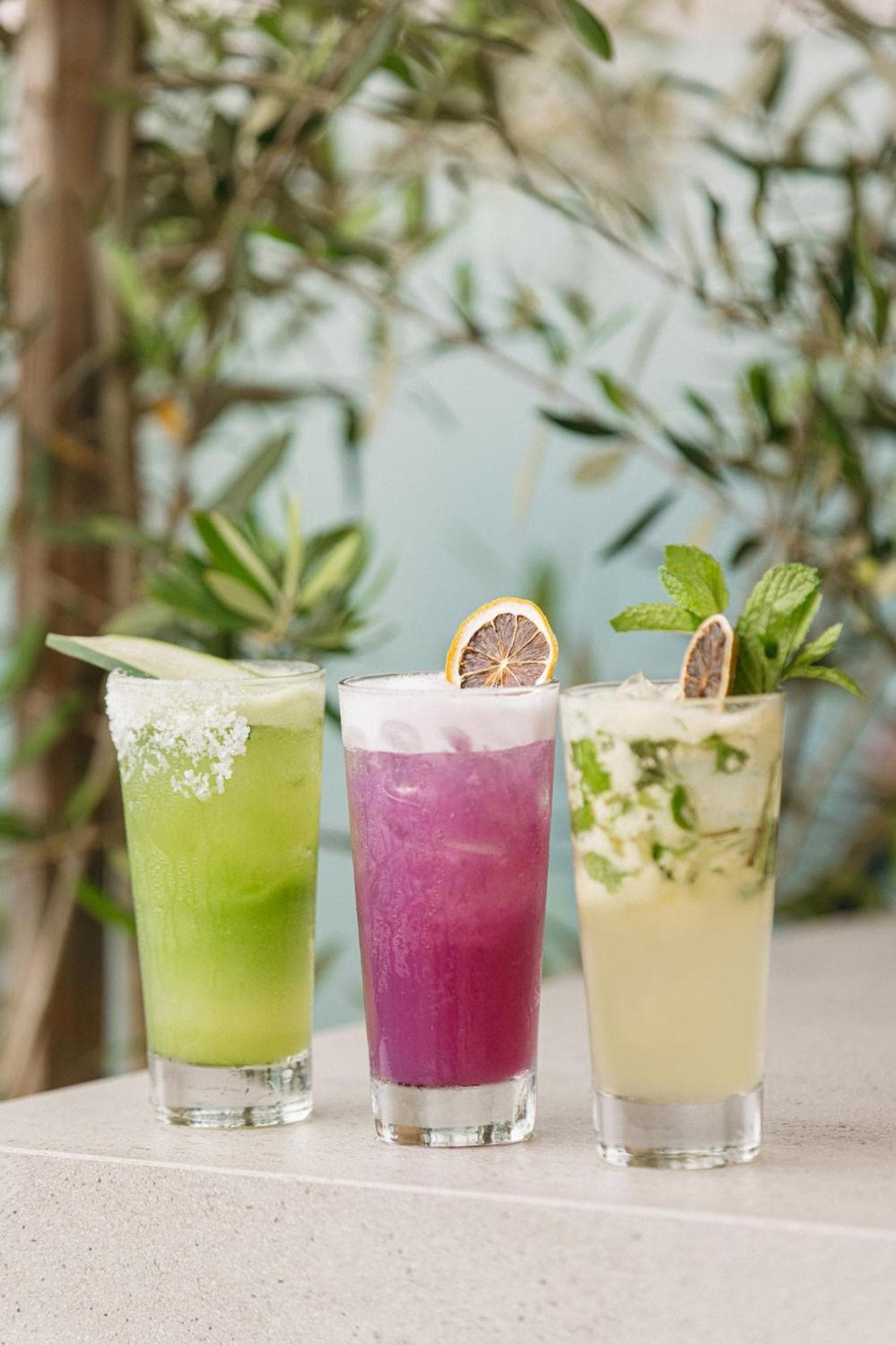 Hotel Erwin Venice Beach gallery photo in Los Angeles, CA — image 47
