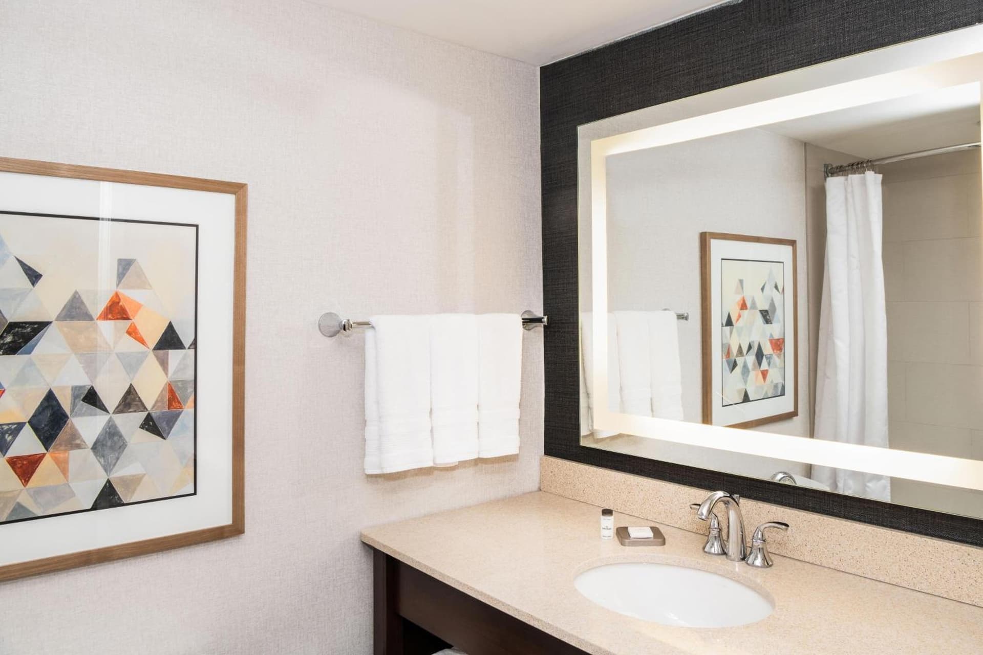 Sheraton Ann Arbor Hotel gallery photo in Ann Arbor, MI — image 66